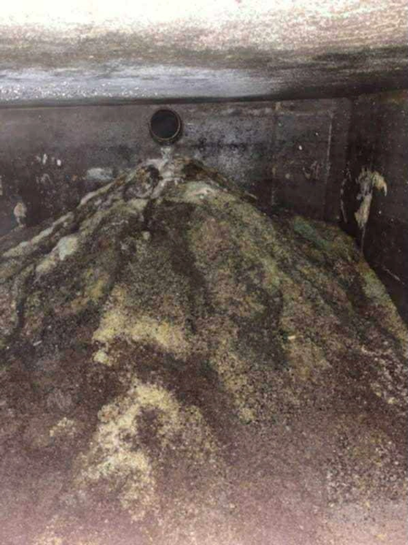 Wnętrze szamba zatkane zbryłami kociego żwirku i rura wlotowa z łazienki